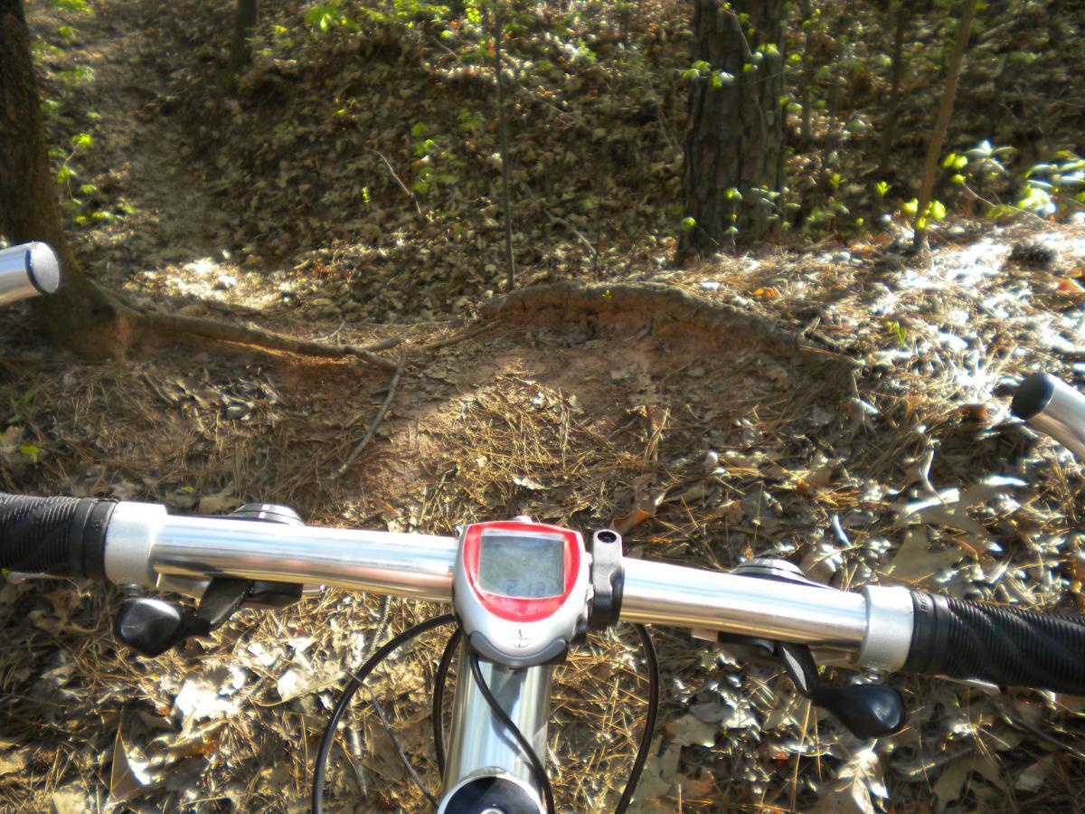 A close-up view from the handlebars of a mountain bike, showing the bike's digital display and a forest trail ahead covered in pine needles and leaves. The trail is narrow and winding, surrounded by trees. The Trails At The Beach mountain bike trail.