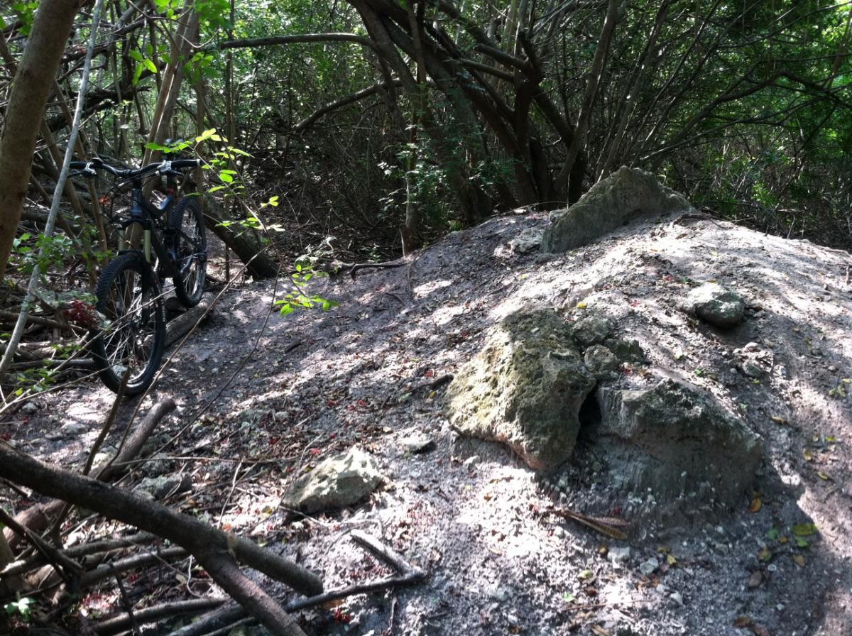 A mountain bike parked on a narrow dirt path surrounded by dense vegetation and trees. The terrain is sandy with scattered rocks, indicating an unpaved, natural trail. Sunlight filters through the leaves, creating dappled shadows on the ground. West Delray Regional Park mountain bike trail.