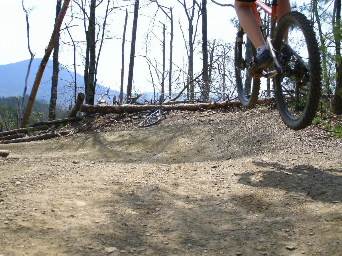 A mountain biker performing a jump on a dirt trail surrounded by trees, with a mountainous landscape in the background. The biker is in mid-air, showcasing dynamic movement against a clear sky. Windy Gap Trail mountain bike trail.