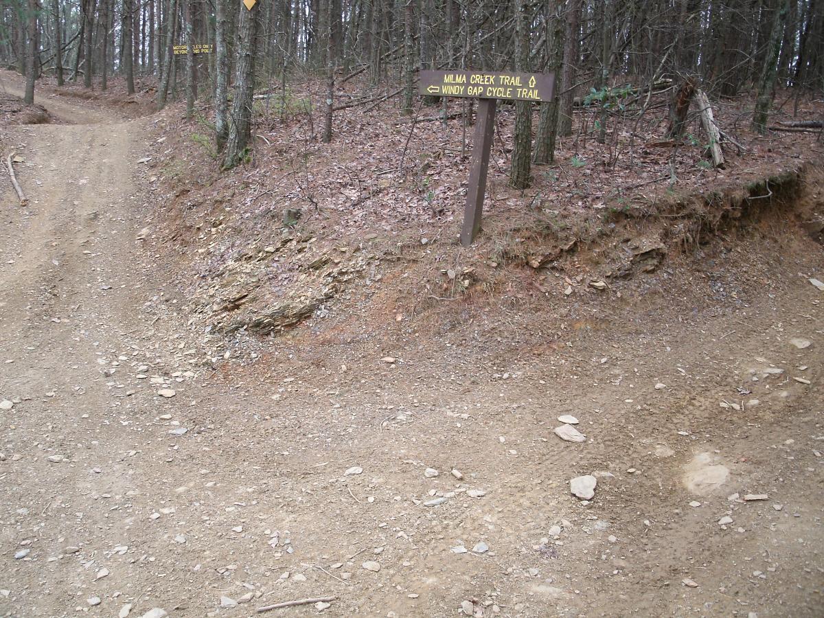 A dirt path splits into two directions in a wooded area, with a sign indicating the left trail as "Milma Creek Trail" and the right as "Windy Gap Cycle Trail." The ground is rocky and surrounded by tall trees, with some dry leaves scattered on the forest floor. Milma Creek Trail mountain bike trail.