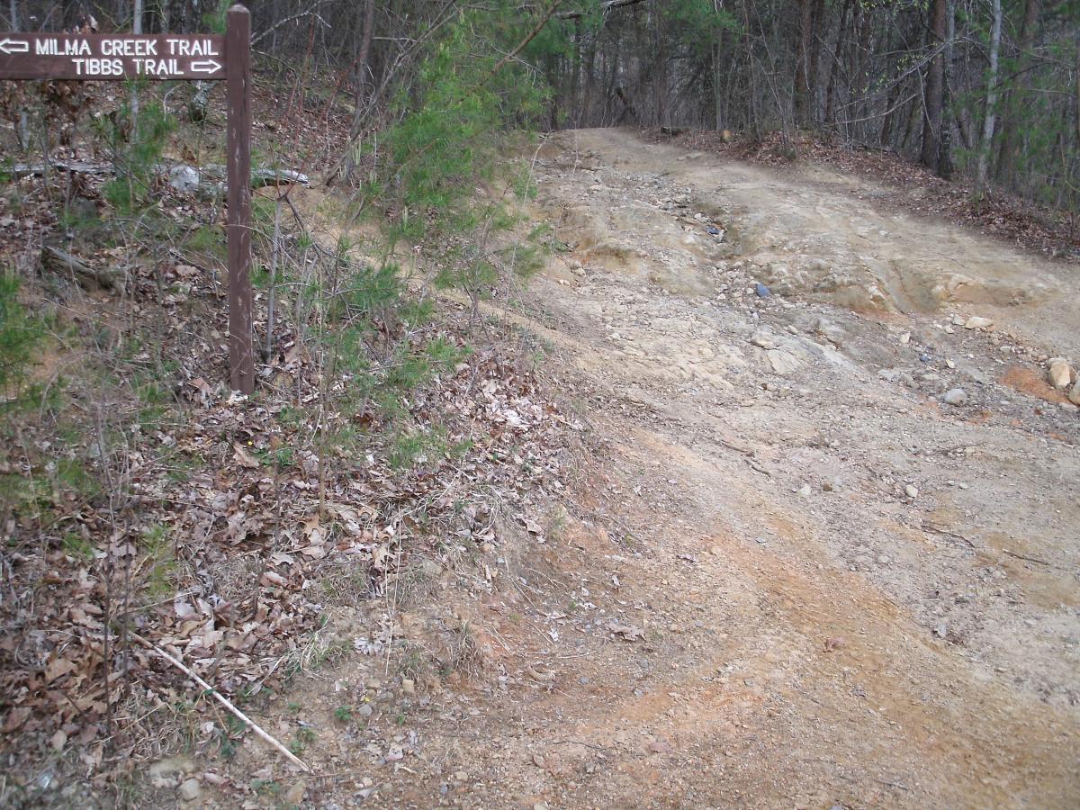 A dirt path branching off into two directions with a wooden signpost indicating "Milma Creek Trail" to the left and "Tibbs Trail" to the right. Surrounding vegetation includes small trees and scattered dry leaves. The trail appears rugged and natural, leading into a wooded area. Tibbs ORV Trail mountain bike trail.