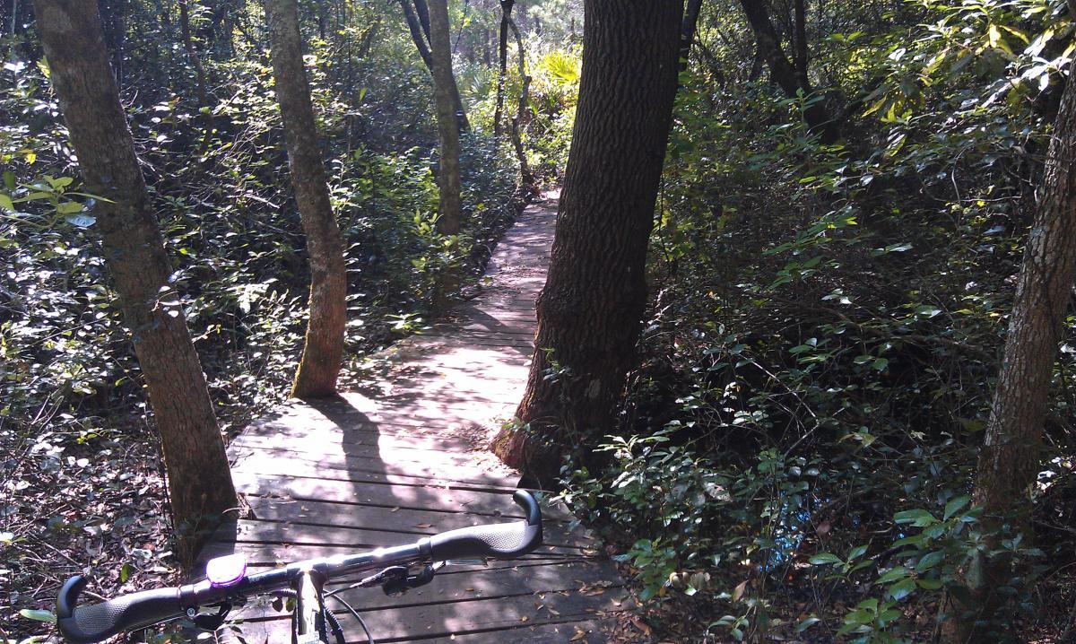 A winding wooden pathway curves through a dense forest, with sunlight filtering through the trees. In the foreground, a bicycle handlebar rests on the path, inviting an outdoor adventure. Lush green foliage surrounds the trail, creating a serene and peaceful atmosphere. Longleaf Pine Greenway Trail mountain bike trail.