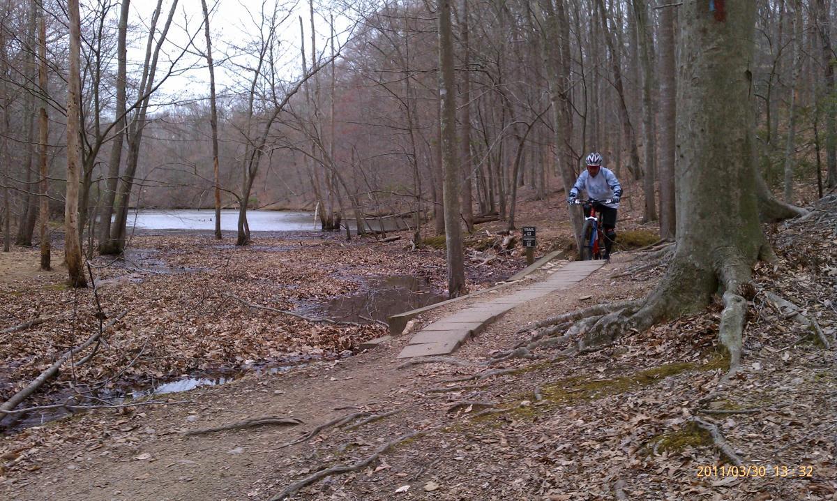 A mountain biker riding along a narrow wooden bridge beside a calm river, surrounded by bare trees and fallen leaves in a wooded area during early spring. A trail marker is visible nearby. Fountainhead Regional Park mountain bike trail.