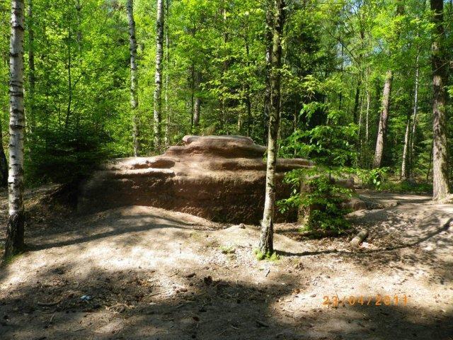 A large, flat-topped rock formation amidst a dense forest, surrounded by greenery and tall trees. Sunlight filters through the leaves, casting dappled shadows on the ground, which is covered in a layer of sand and small vegetation. Tiergarten mountain bike trail.