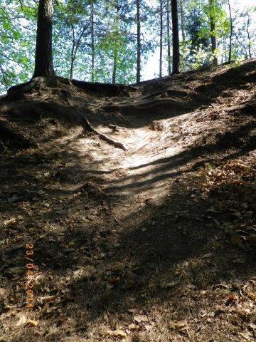 A dusty, sloped trail winding up a hillside covered with scattered fallen leaves, framed by tall trees with sunlight filtering through the foliage above. Tiergarten mountain bike trail.