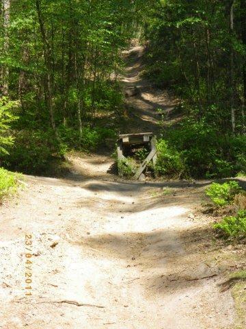 A dirt path winding through a lush green forest, with a small wooden structure partially visible at the bottom of a slope. Sunlight filters through the trees, illuminating the trail and surrounding vegetation. Tiergarten mountain bike trail.