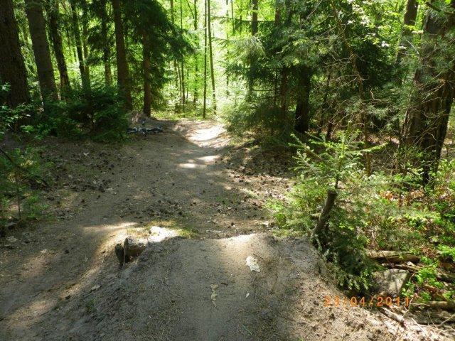A dirt path winding through a forest with tall trees and greenery on either side. The sunlight filters through the leaves, illuminating the trail and creating dappled light on the ground. A slight incline is visible in the foreground, leading down the path. Tiergarten mountain bike trail.