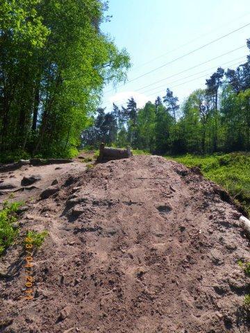 A dirt path leading through a verdant forest, lined with lush green trees and underbrush under a clear blue sky. The path is slightly elevated in the center, with scattered rocks and debris. Power lines are visible in the background among the treetops. Tiergarten mountain bike trail.