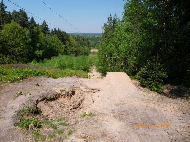 A dirt pathway leads down a sloped terrain surrounded by dense green trees. The scene captures a clear blue sky overhead, with sunlight illuminating the landscape. In the distance, a view of a valley is visible through the trees. The foreground features a sandy area with some exposed roots and vegetation. Tiergarten mountain bike trail.