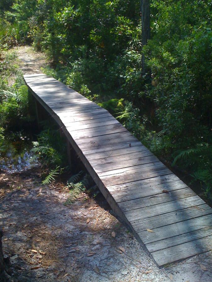 A wooden bridge over a small waterway, surrounded by lush greenery and ferns in a natural setting. The pathway leading to the bridge is partially covered with sand and scattered leaves, indicating a serene, outdoor environment. The Preserve mountain bike trail.
