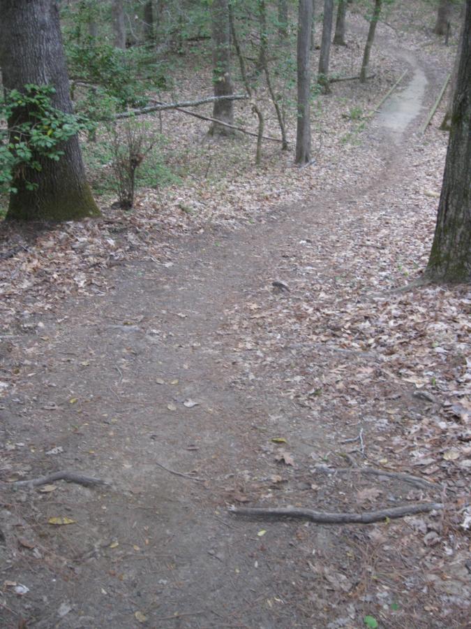 A winding dirt path covered with fallen leaves, surrounded by trees in a forested area. The path gradually slopes downward and leads into the distance, with patches of green foliage visible among the trees. Beaverdam Park mountain bike trail.