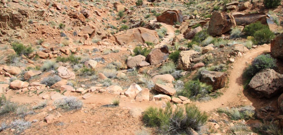 A rocky, desert landscape featuring a winding dirt path among scattered boulders and sparse vegetation. The terrain is comprised of reddish-brown soil and various-sized rocks, with patches of green grass and small shrubs dotting the scene. Pipe Dream mountain bike trail.