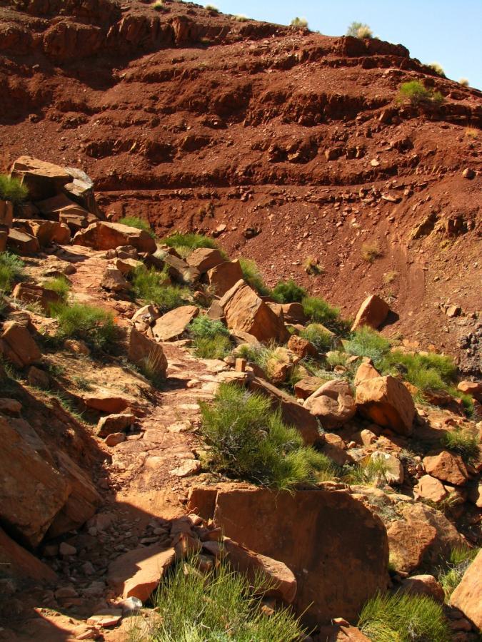 A rocky hiking trail winding through a rugged landscape of reddish-brown dirt and boulders, with patches of green vegetation along the path and steep rock formations in the background under a clear blue sky. Pipe Dream mountain bike trail.