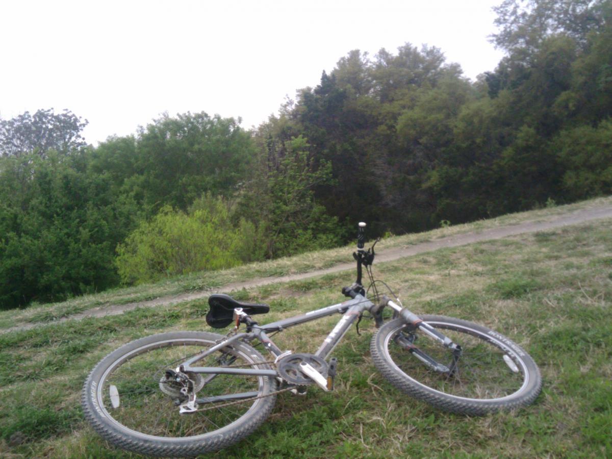 A mountain bike resting on the ground in a grassy area, surrounded by lush greenery and trees. A dirt path is visible in the background. Walnut Creek mountain bike trail.