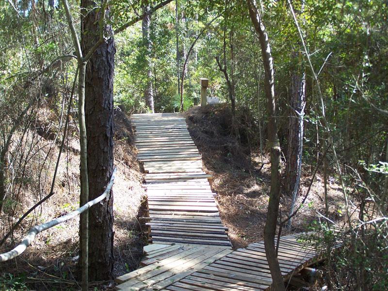 A wooden boardwalk winding through a dense forest, surrounded by tall trees and lush greenery, leading towards a small clearing. Games Loop mountain bike trail.