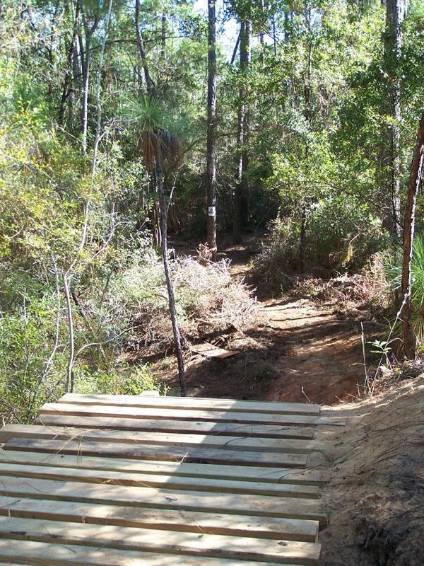 A wooden bridge extends over a natural trail in a lush forest, surrounded by green foliage and tall trees. The path is visible in the background, winding through the dense underbrush. Sunlight filters through the leaves, casting soft shadows on the ground. Games Loop mountain bike trail.