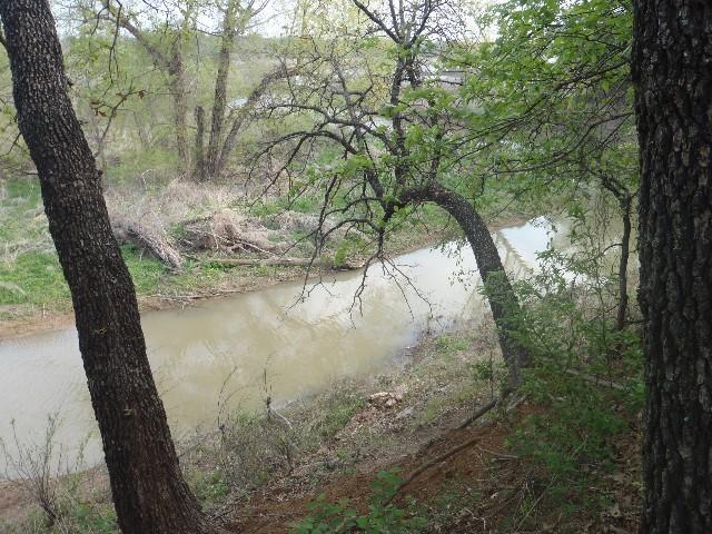 A tranquil scene depicting a meandering river surrounded by trees and lush greenery. The water appears slightly murky, reflecting the overcast sky above. Branches from nearby trees extend over the riverbank, with fallen branches and debris visible along the shore, suggesting a natural, wooded landscape. Horseshoe mountain bike trail.