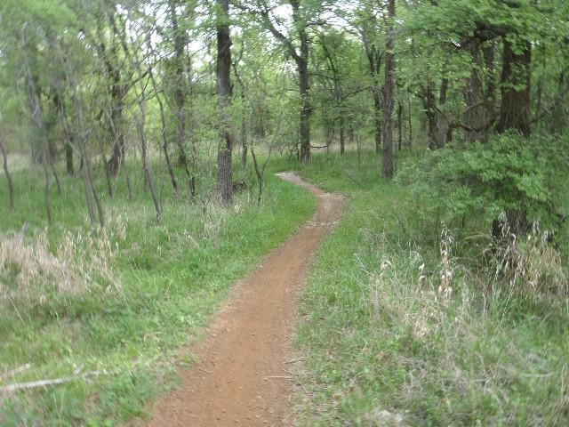 A winding dirt path leads through a lush green forest, surrounded by trees and tall grasses on either side. The scene captures the tranquility of nature, inviting exploration and adventure. Horseshoe mountain bike trail.