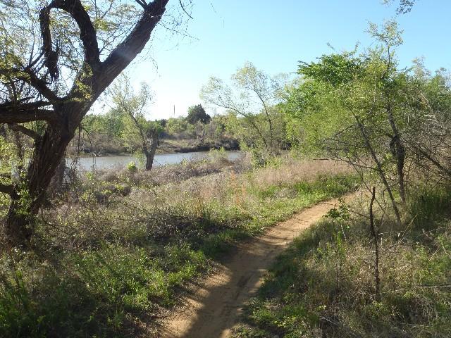A peaceful outdoor scene featuring a winding dirt path surrounded by lush greenery and trees, leading towards a river in the background under a clear blue sky. Northshore Trail mountain bike trail.