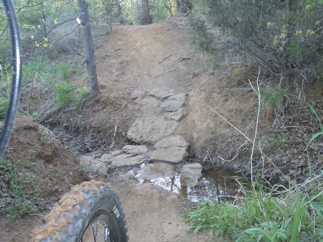 A bike tire in the foreground on a dirt trail leading over a rocky section and a small stream, surrounded by greenery and trees. Northshore Trail mountain bike trail.