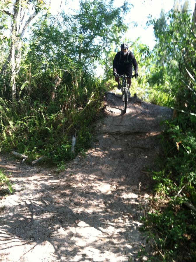 A mountain biker descends a rocky path surrounded by lush greenery and sunlight filtering through the trees. The rider is dressed in a helmet and riding gear, navigating a steep slope with focus and skill. Okeeheelee Park / Pinehurst / Green Acres Freedom Park mountain bike trail.