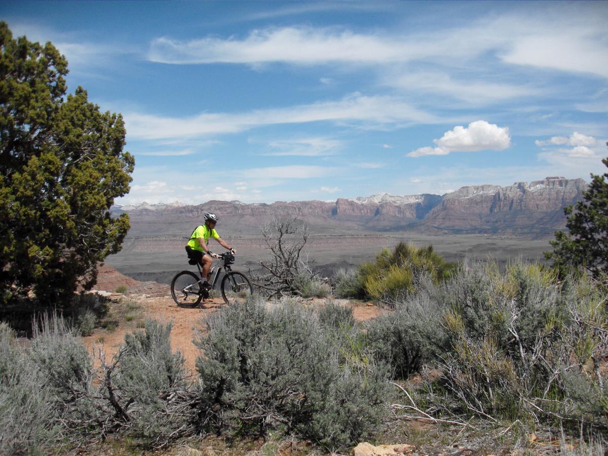 A person riding a mountain bike along a trail with a scenic view of a mountainous landscape in the background, featuring blue skies and scattered clouds. Surrounding vegetation includes shrubs and a tree near the trail. Gooseberry Mesa mountain bike trail.