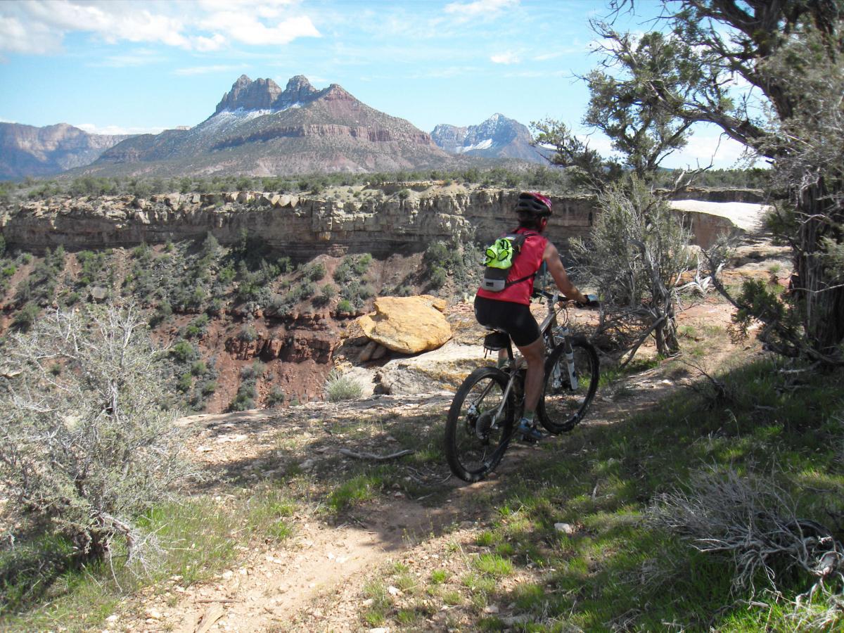 A person riding a mountain bike along a scenic trail, with a mountainous landscape in the background featuring rocky cliffs and greenery. The scenery includes a mix of shrubs and grass, and the sky is partly cloudy, adding to the vibrant outdoor atmosphere. Gooseberry Mesa mountain bike trail.