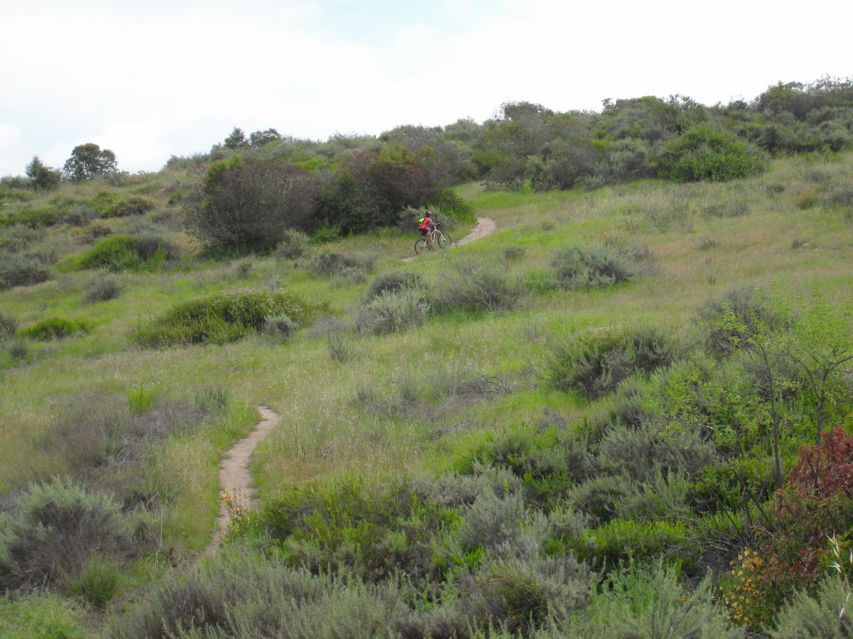 A cyclist riding on a winding trail through a lush, green hillside filled with shrubs and grasses under a partly cloudy sky. Laguna Coast Wilderness Park mountain bike trail.