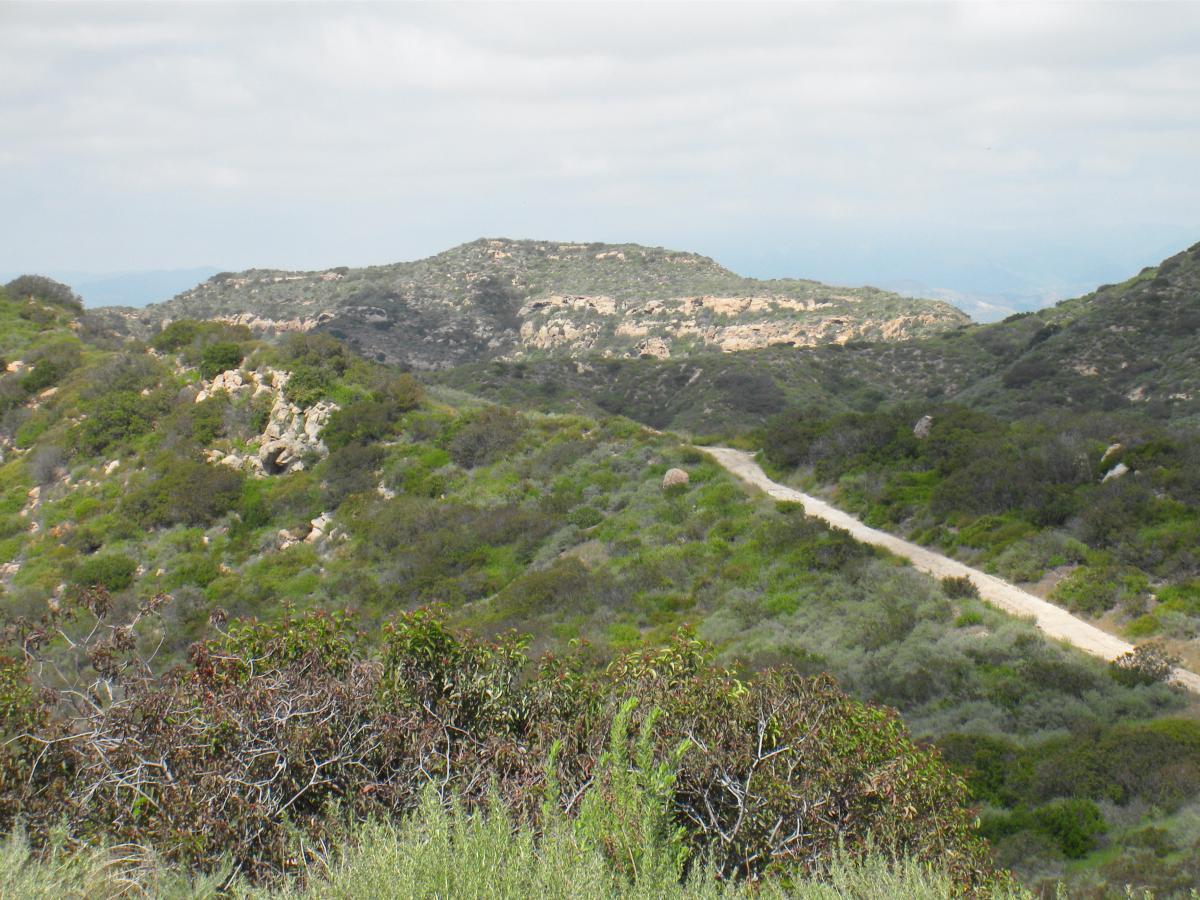 A scenic view of a lush, green hillside with rocky outcrops and a winding dirt path. The landscape features rolling hills under a cloudy sky, showcasing a natural environment rich in vegetation. Laguna Coast Wilderness Park mountain bike trail.