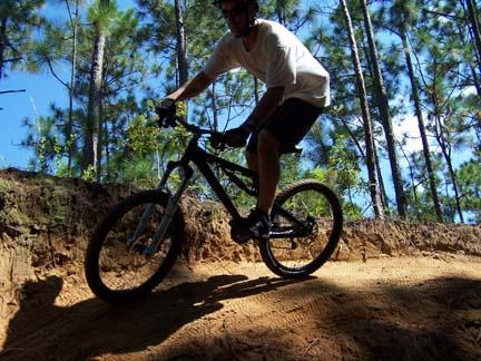 A person riding a mountain bike on a sandy trail surrounded by tall pine trees, with sunlight filtering through the foliage. Games Loop mountain bike trail.
