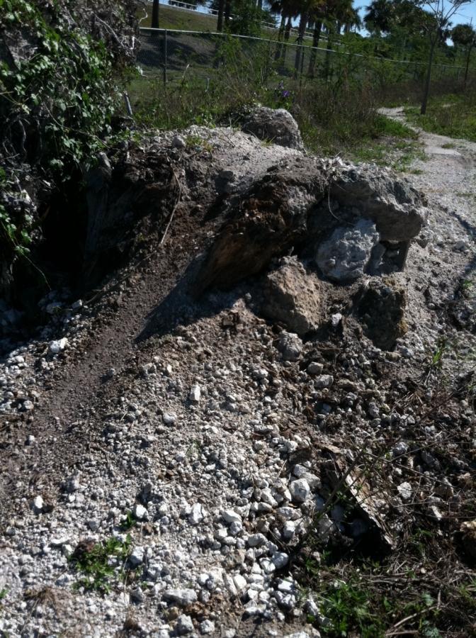 A rocky and gravelly mound of earth with scattered small stones and patches of greenery, set against a background of trees and a chain-link fence. Quiet Waters Park mountain bike trail.