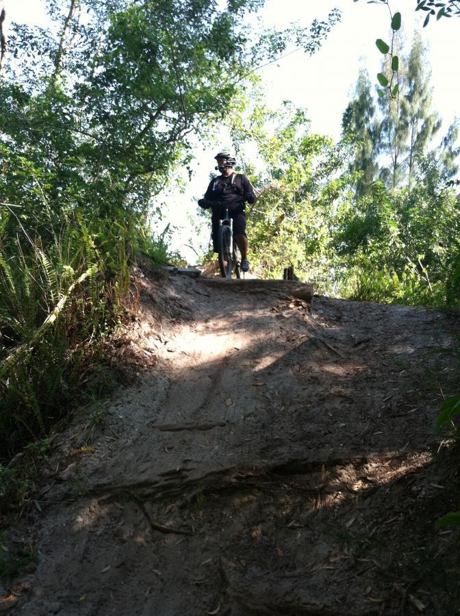 A mountain biker stands at the top of a dirt trail surrounded by lush greenery, preparing to descend a slightly inclined slope. The scene is sunny, and the biker wears a helmet and dark riding gear. Sunlight filters through the trees, illuminating the path ahead. Okeeheelee Park / Pinehurst / Green Acres Freedom Park mountain bike trail.
