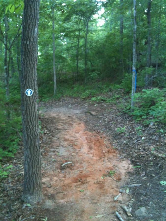 A dirt trail winding through a wooded area, flanked by trees. A trail marker with a blue arrow is visible on a tree trunk, indicating the direction of the path. The ground shows signs of use, with exposed soil and scattered leaves along the trail. Bonita Lakes mountain bike trail.