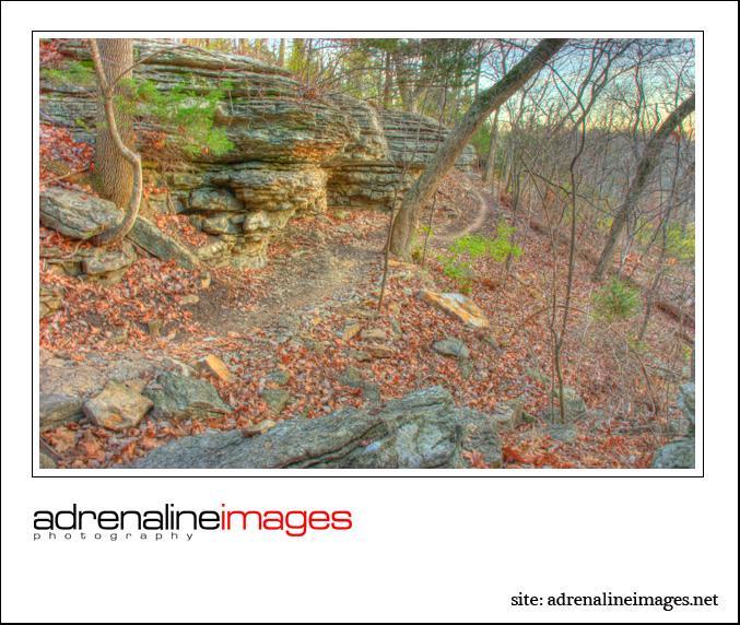 A scenic view of a wooded trail winding along rocky ledges, surrounded by trees and fallen leaves, representing a peaceful natural landscape. Swope Park Trail mountain bike trail.