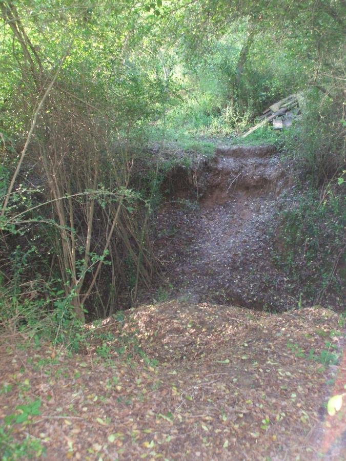 A small, natural depression surrounded by dense greenery and underbrush, with a slight dirt slope leading down into the area. Sunlight filters through the trees, illuminating scattered leaves and the textured ground. Wine Creek mountain bike trail.