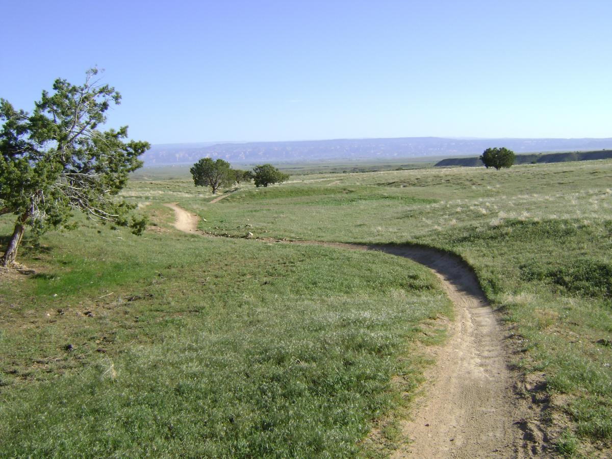 A winding dirt path cuts through a lush green meadow, with a few trees dotting the landscape under a clear blue sky. In the distance, gentle hills rise against the horizon, creating a serene and tranquil outdoor scene. 18 Road Trails / North Fruita Desert mountain bike trail.