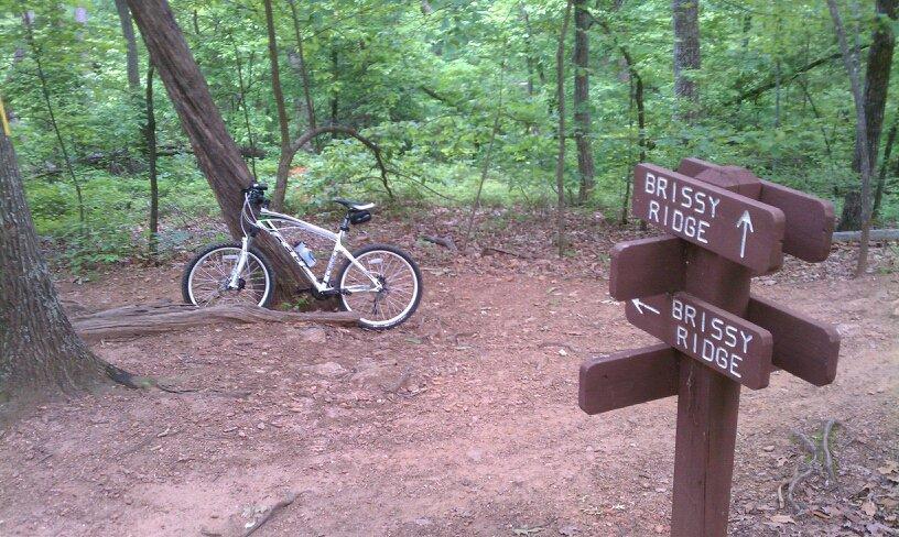 A white bicycle leaning against a tree in a wooded area, with a directional signpost indicating the path to "Brissy Ridge." The ground is covered in brown dirt, surrounded by lush green trees. Paris Mountain State Park mountain bike trail.