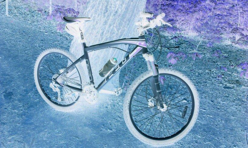 A mountain bike positioned on a dirt path, with a backdrop of greenery. The image is inverted, giving it a surreal, high-contrast appearance where dark areas turn light and light areas turn dark. A water bottle is mounted in the bike's frame. Paris Mountain State Park mountain bike trail.