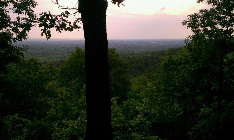 A panoramic view of a lush green landscape under a cloudy sky, with a large tree in the foreground framing the scene. The horizon stretches far into the distance, revealing rolling hills and a vast expanse of forest. Paris Mountain State Park mountain bike trail.