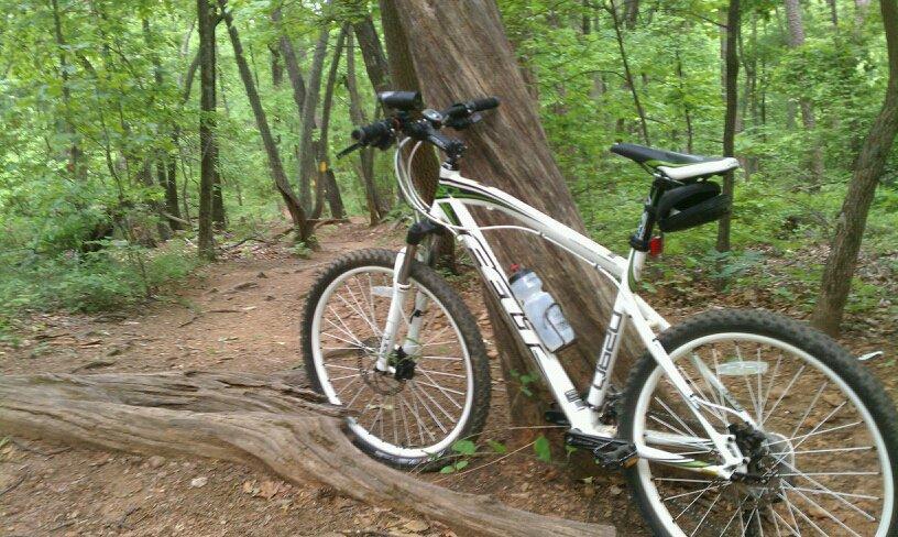 A mountain bike resting against a large tree in a wooded area, surrounded by green foliage and a dirt trail. The bike is white with black accents and has a water bottle attached. Paris Mountain State Park mountain bike trail.