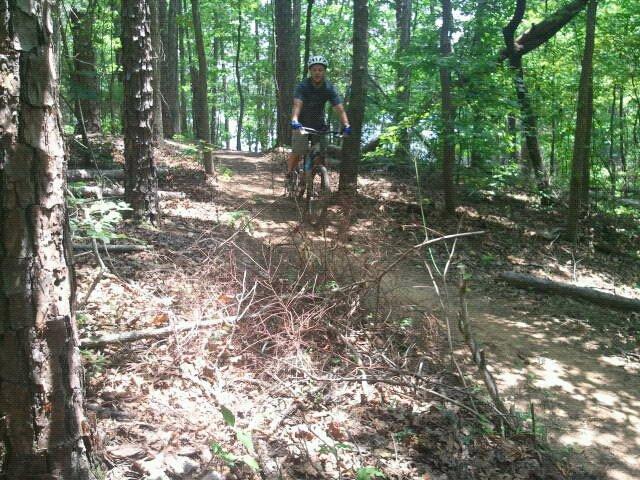 A person riding a mountain bike on a narrow dirt trail through a dense forest, surrounded by trees, foliage, and fallen branches. Natural sunlight filters through the canopy above. Paynes Creek mountain bike trail.