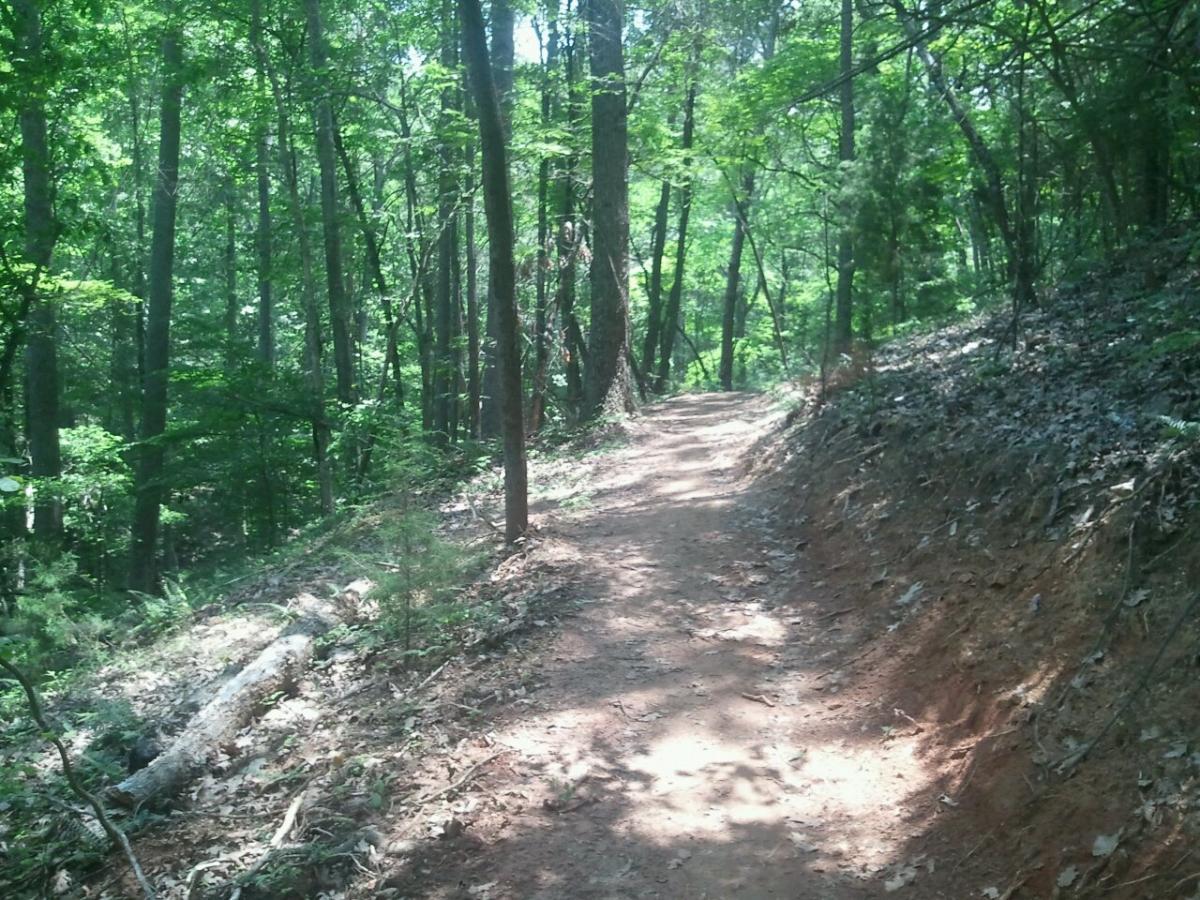 A dirt path winding through a lush, green forest with tall trees on either side and scattered leaves on the ground. Sunlight filters through the foliage, creating dappled light along the trail. Paynes Creek mountain bike trail.