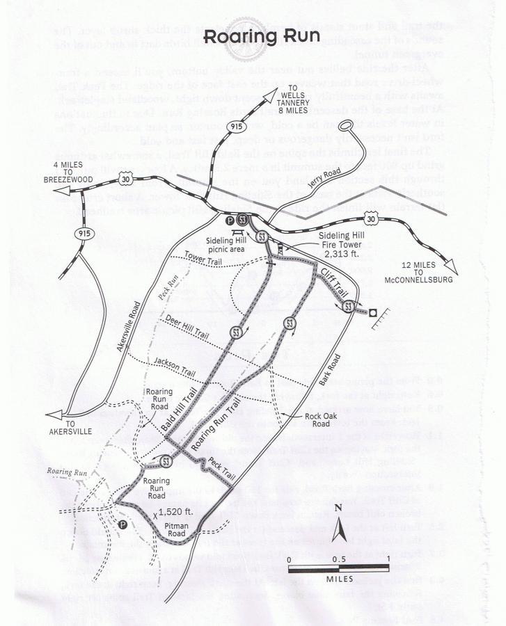 Roaring Run Buchanan State Forest Pa Mountain Bike Trail in Breezewood