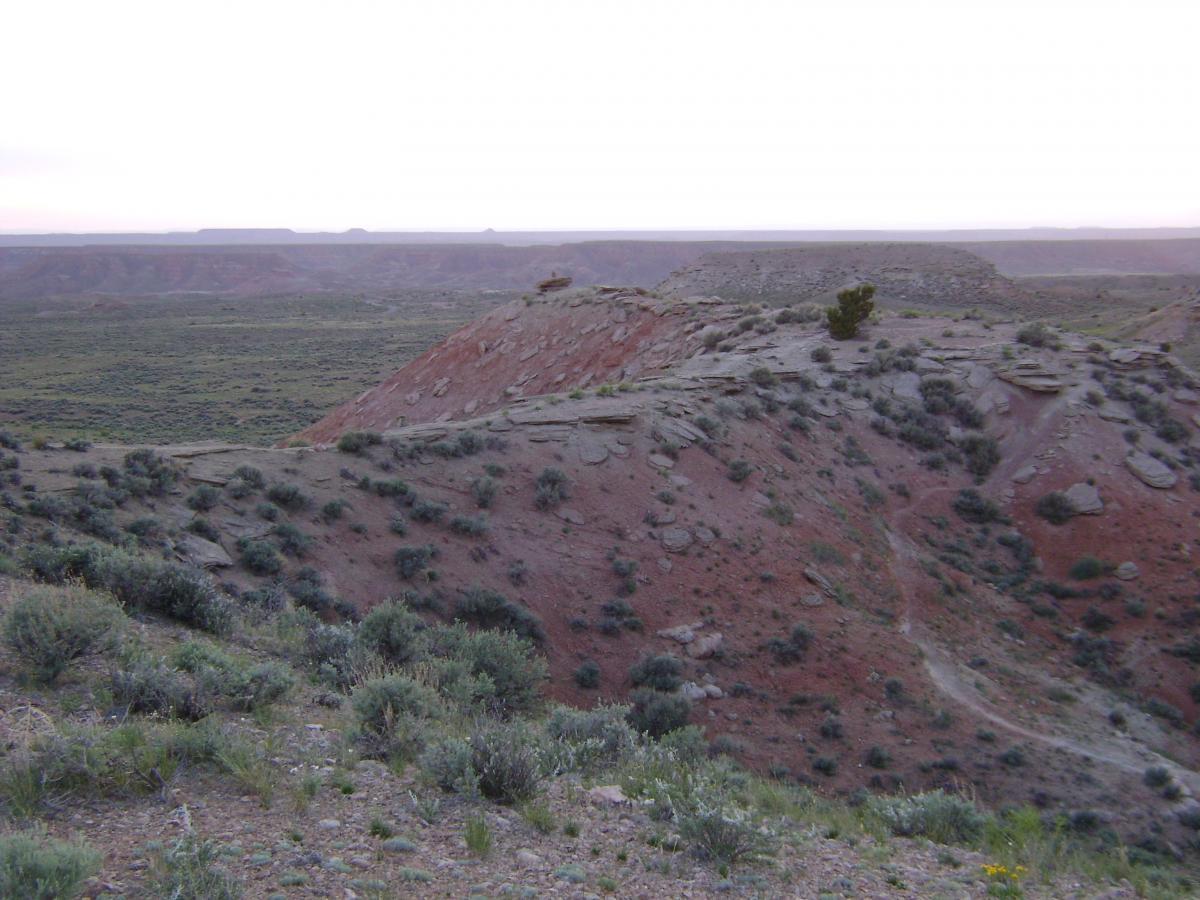 A panoramic view of a rugged landscape featuring rolling hills, shaded in earthy tones of red and brown, with sparse vegetation including low shrubs and grasses. The horizon is lined with distant mesas and plateaus under a soft, hazy sky, suggesting either sunrise or sunset. Jackalope mountain bike trail.