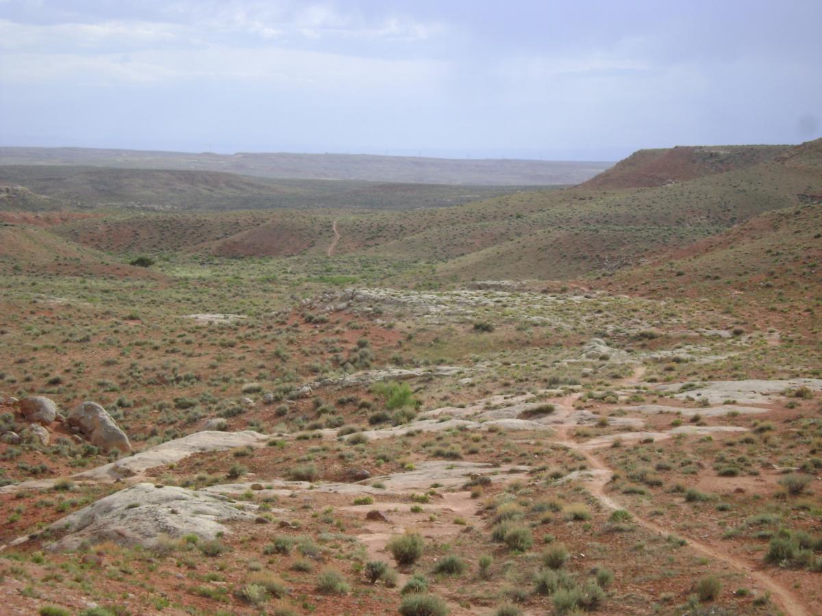 A panoramic view of a rugged, arid landscape featuring rolling hills, sparse vegetation, and a winding dirt path. The scene is characterized by a mix of reddish-brown earth and patches of green grass under a cloudy sky. The terrain appears dry and rocky, suggesting a remote and natural environment. More Hoes mountain bike trail.