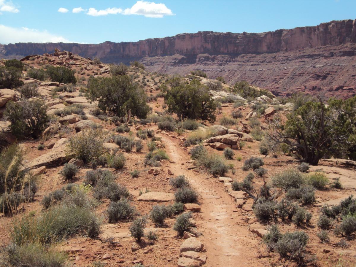 A sandy trail meanders through a rugged landscape with sparse vegetation, surrounded by rocky terrain and distant cliffs under a clear blue sky. Deadman's Ridge mountain bike trail.