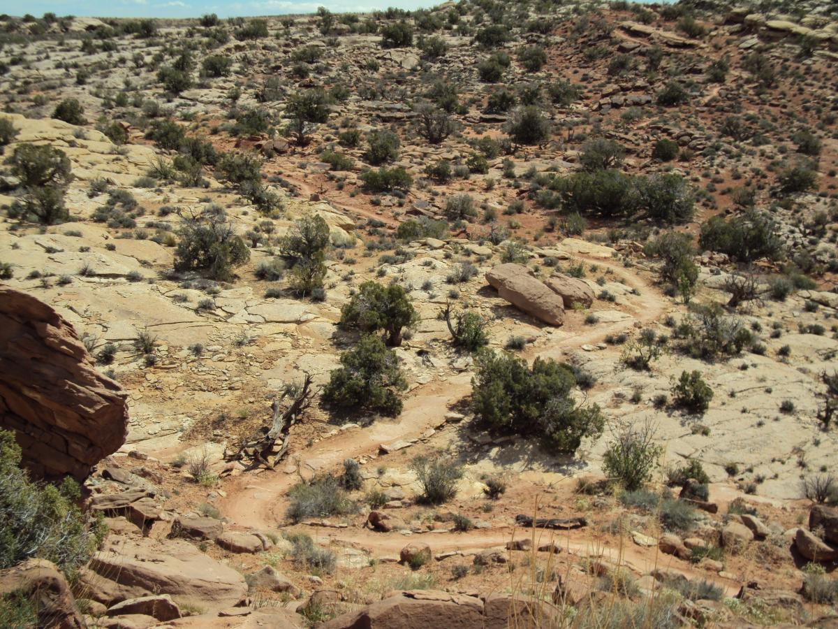 A rocky landscape featuring a winding dirt trail through sparse vegetation and rocky terrain, with scattered shrubs and small trees under a clear sky. The scene captures the natural beauty of a desert-like environment. Deadman's Ridge mountain bike trail.