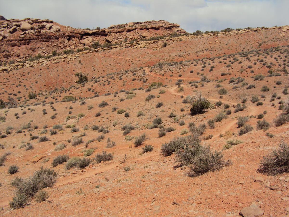 A wide view of a desert landscape featuring reddish soil and scattered vegetation, including small shrubs and bushes, beneath a partly cloudy sky and rocky formations in the background. A winding dirt path is visible, leading through the terrain. Deadman's Ridge mountain bike trail.