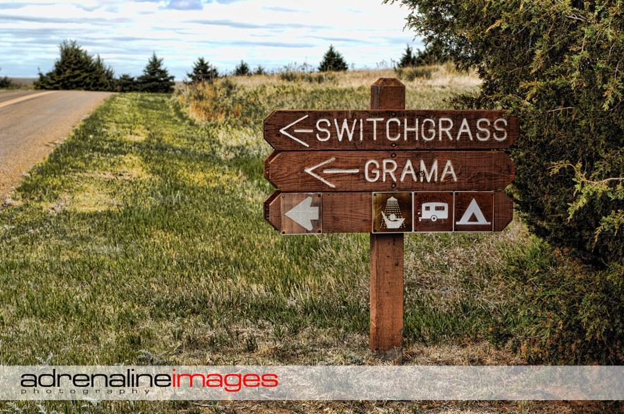 Wooden directional signpost on a grassy roadside, pointing left towards "Switchgrass" and "Grama," with additional symbols indicating amenities such as camping and RVs. The background features a road and scattered trees under a cloudy sky. Switchgrass mountain bike trail.