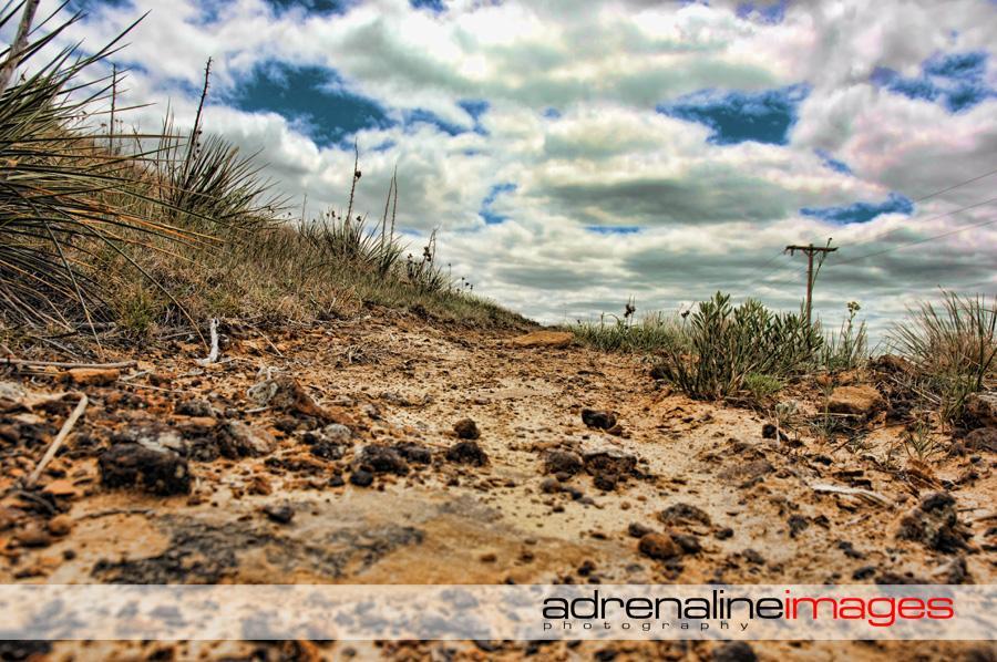 A close-up view of a dirt path surrounded by grass and shrubs, leading towards a cloudy sky. Telephone poles can be seen in the background, providing context to the rural landscape. The ground shows a mix of soil and small rocks, highlighting the natural terrain. Switchgrass mountain bike trail.